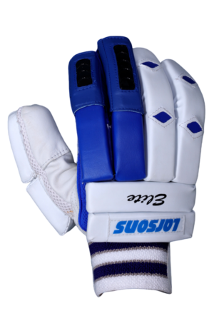 RNS Larsons Elite Cricket Gloves