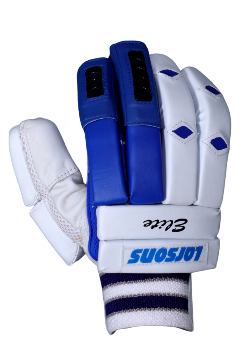 RNS Larsons Elite Cricket Gloves