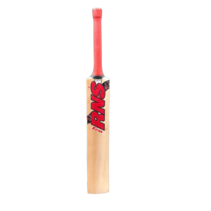 Home 10 RNS T-20 Kashmir Willow Cricket Bat